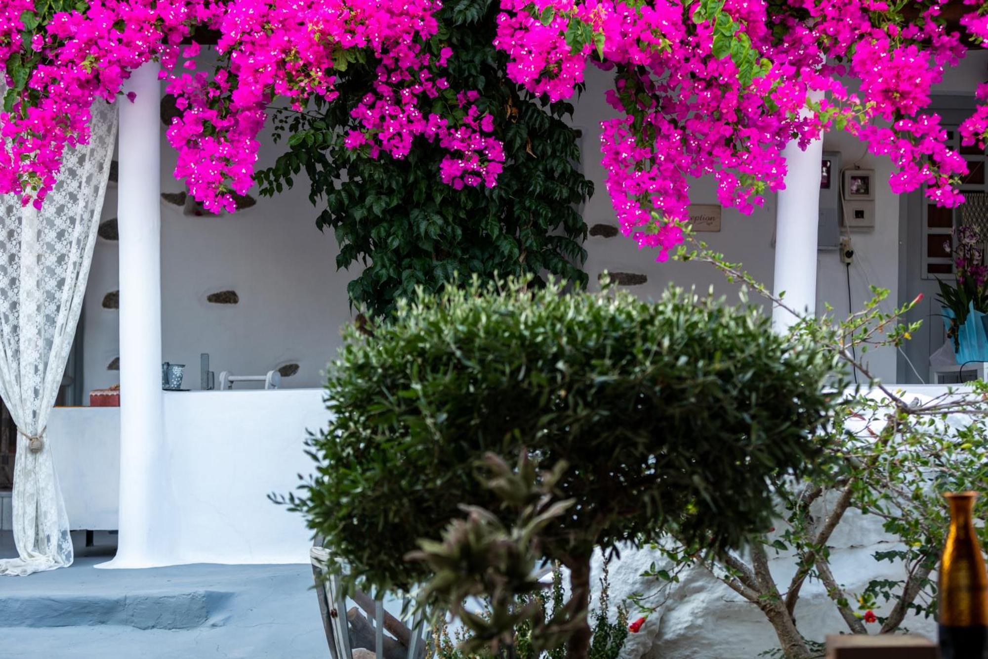 סטלידה Sunrock Suites מראה חיצוני תמונה